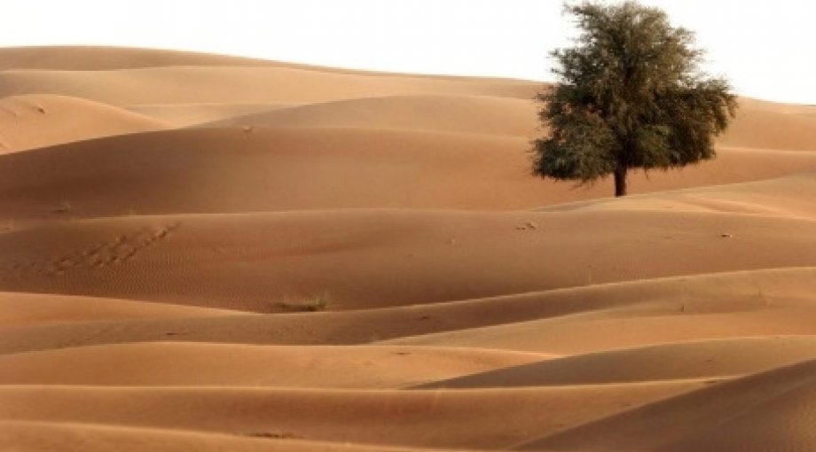 Dubai woestijn zandbak middelgroot