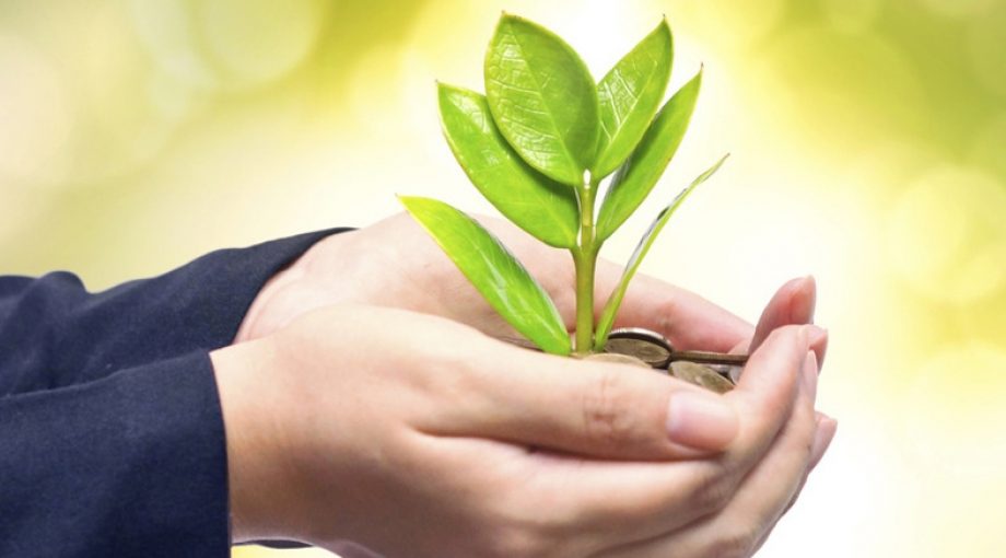 Duurzaam1065 thinkstock