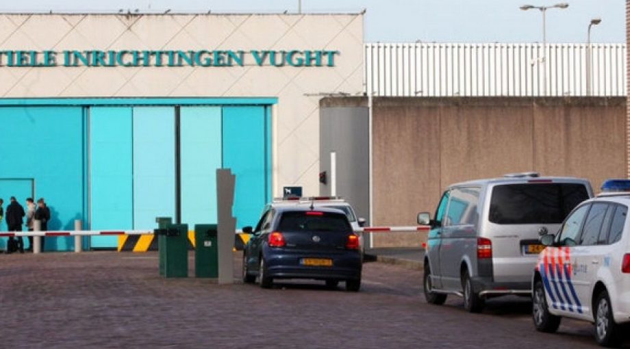 Ebi vught middelgroot