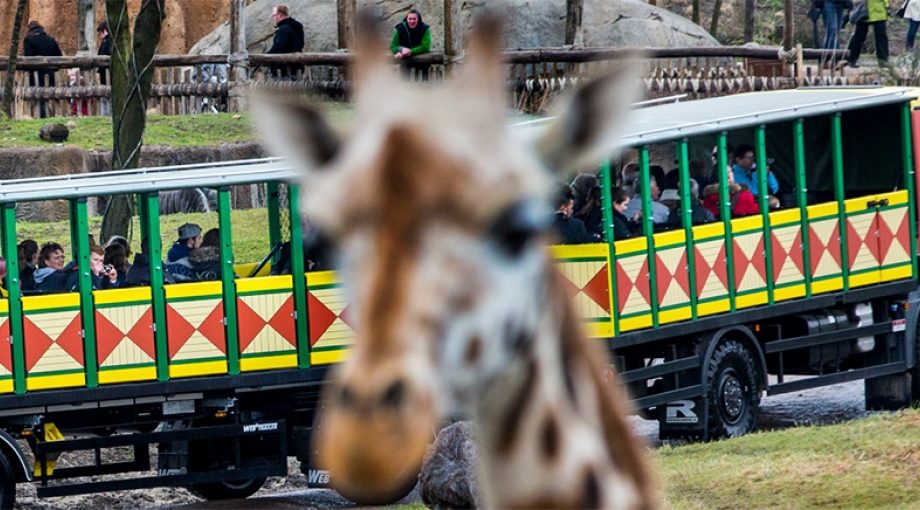 Emmendierenpark