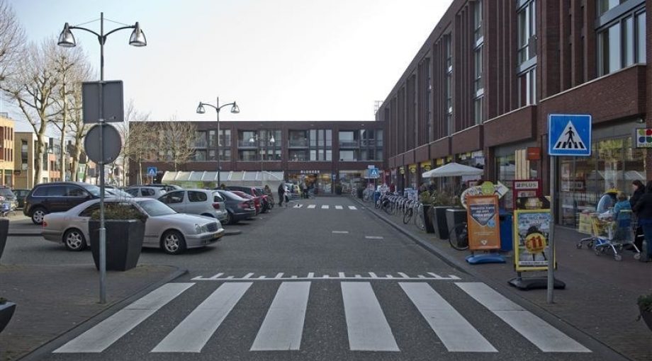 Eskerpleinemielmuijderman