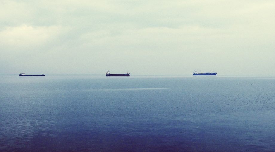 Export groei cbs groot