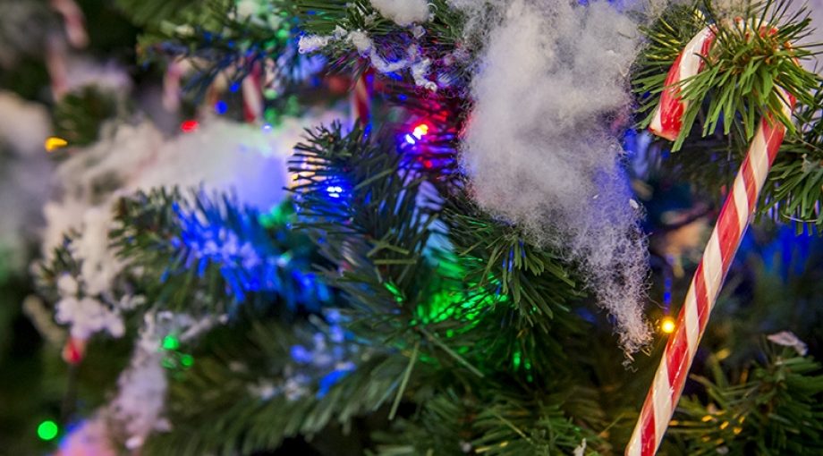 Feestdagenwebwinkel1065
