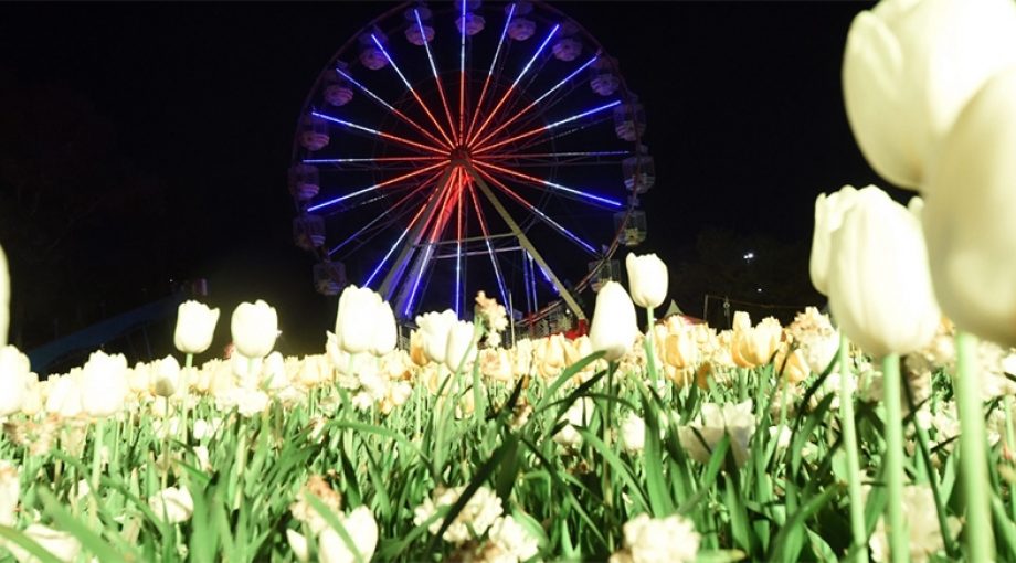 Floriadealmere2022