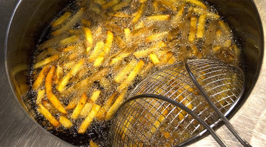 Friet 1065