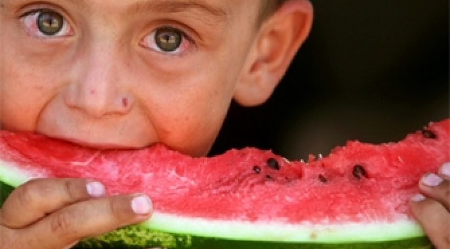 Fruit kinderen eten meloen 335