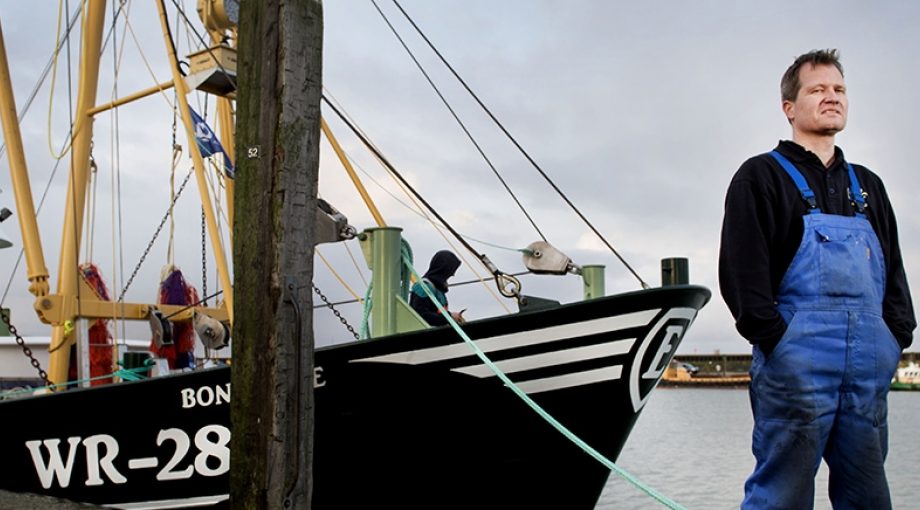 Garnalenboot nieuw