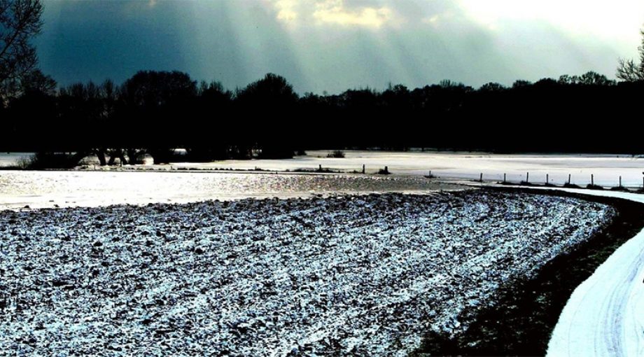 Gelderlandwandelfietsprovincie