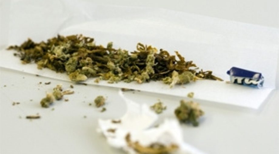 Grasscompany coffeeshop 335