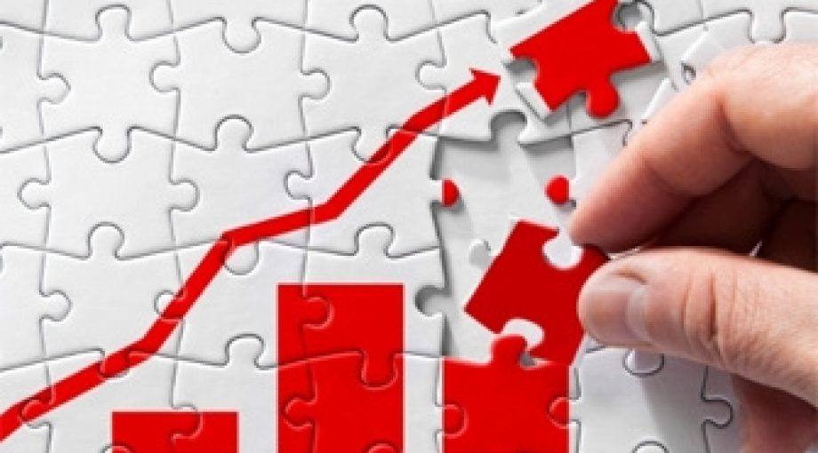 Groei economie puzzel 335