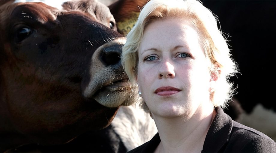 Heelweg boer boerin stopt jose 1065