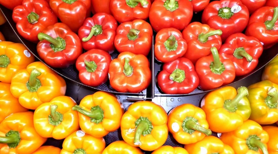 Hollandse paprika groente