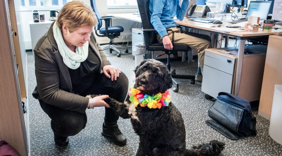 Hond personeelslid werkplek Pfizer stressverminderend