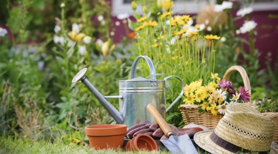 Hovenier thinkstock