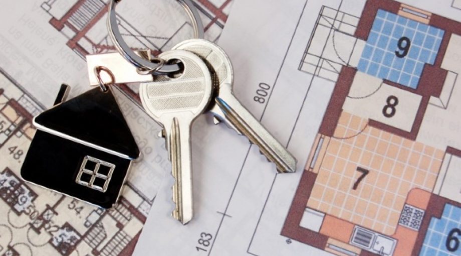 Huis sleutel groot