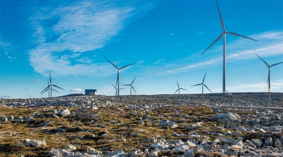 Ikea onderneming windmolens groot