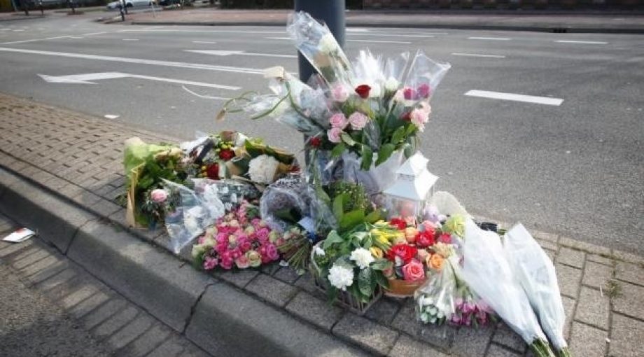 Image 3723889