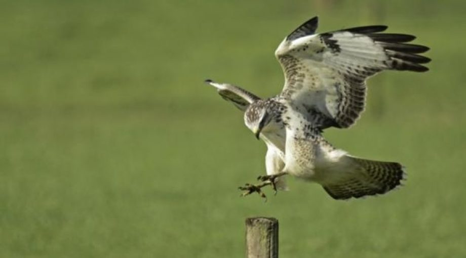 Image 4871046