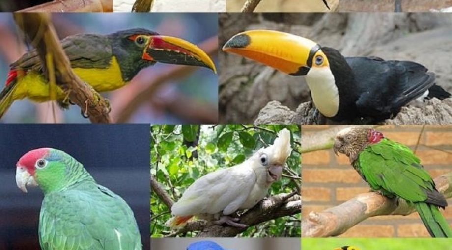 Image 4935594