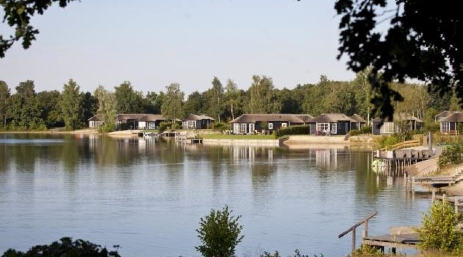Image 4955692