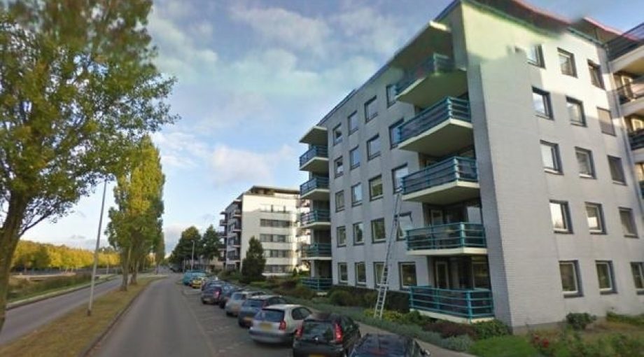 Image 4969602