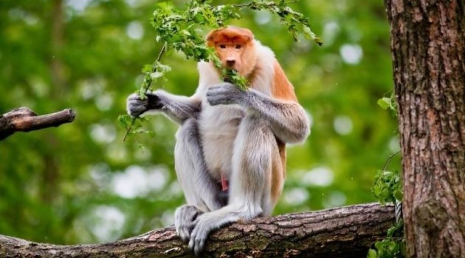 Image 4976862
