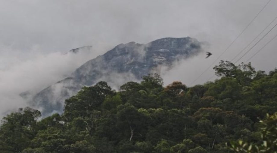 Image 4982026
