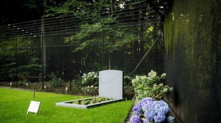 Image 5019353