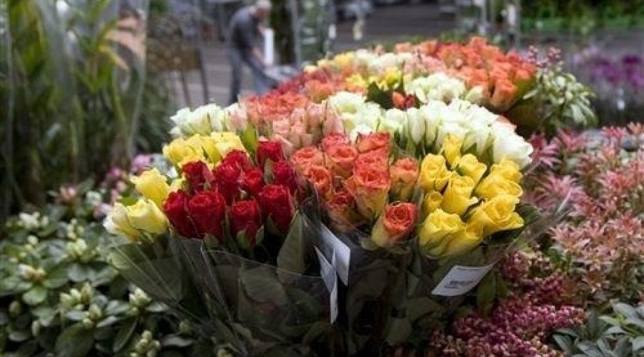 Image 5098774