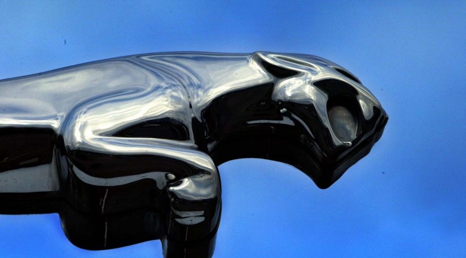 Jaguar anp