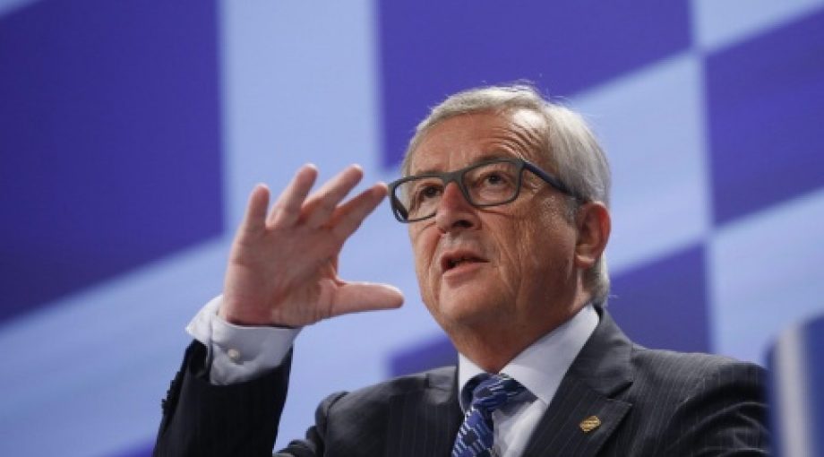 Junker middelgroot
