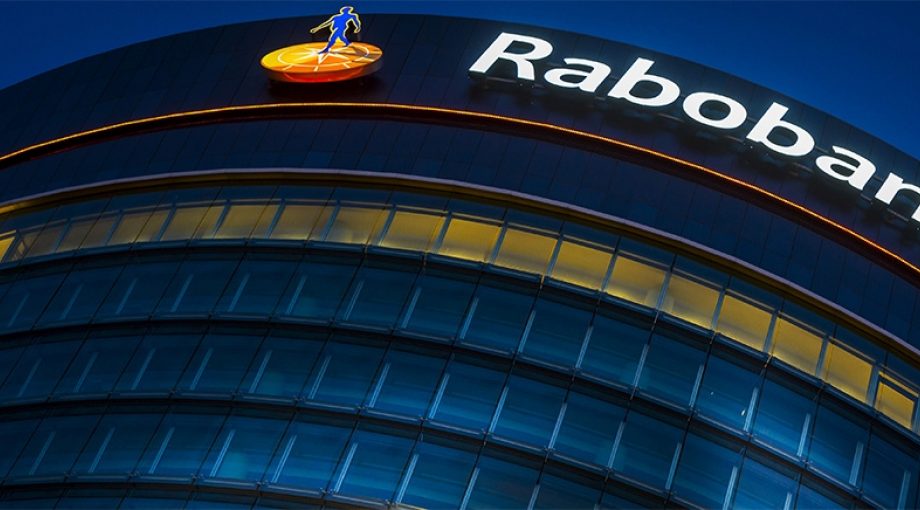 Kaalslagbijrabobank1065