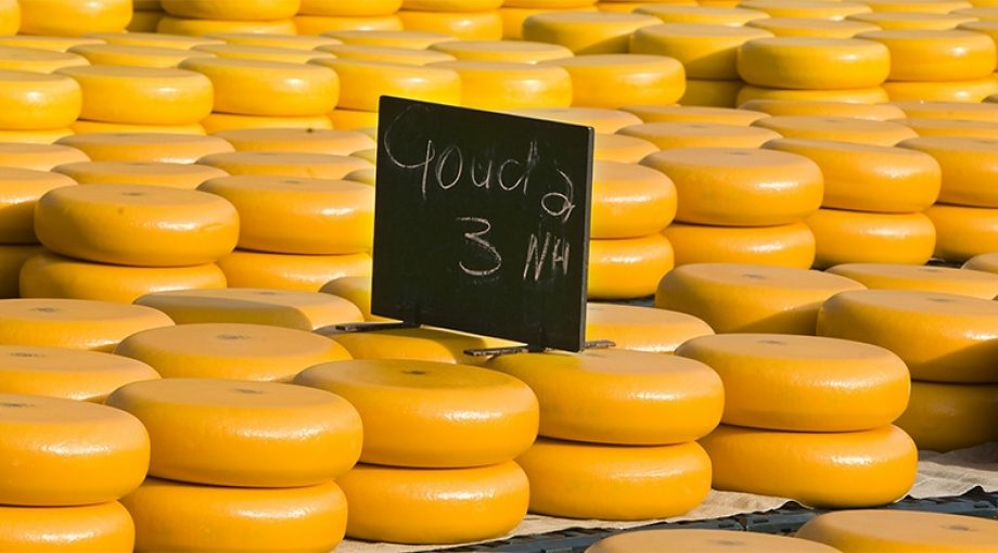 Kaas gouda hellouw noordam prijs 1