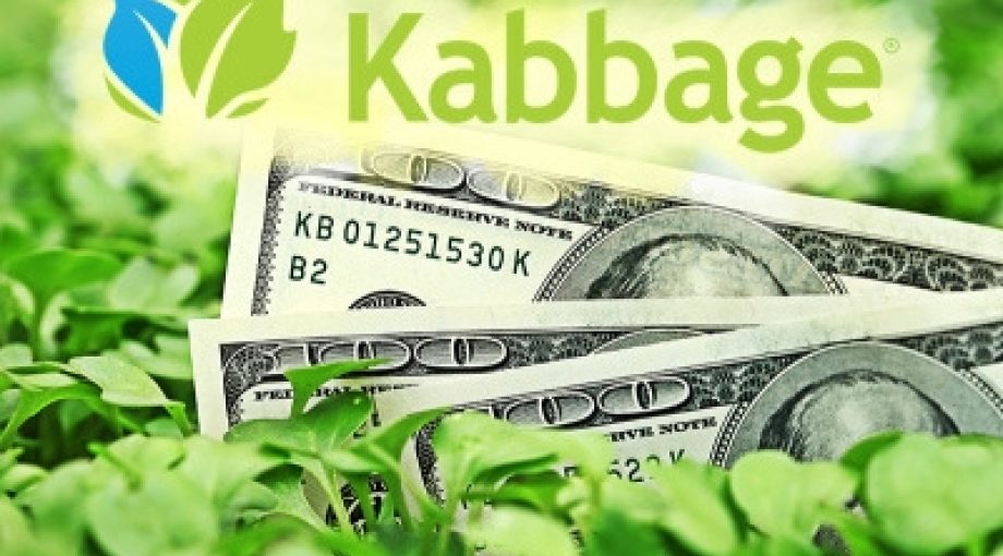 Kabbage dollar