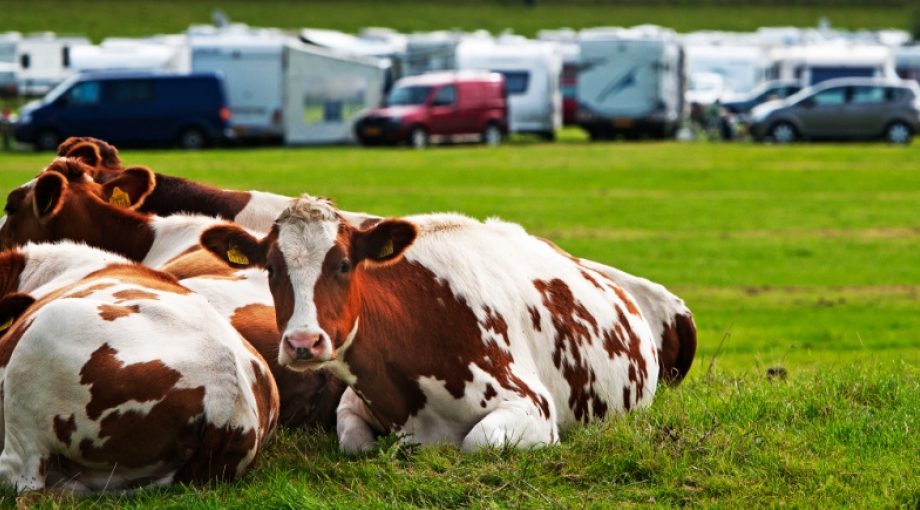 Kamperenbijboercampingtoeristenbelasting1065435