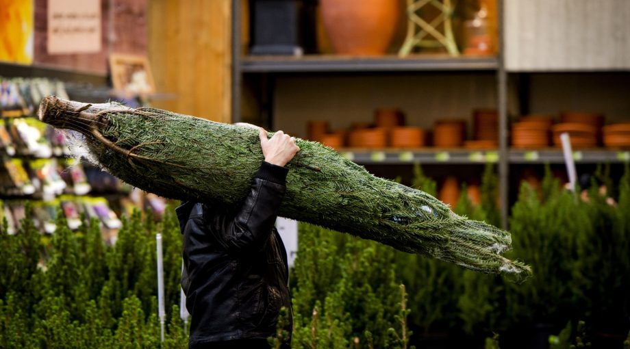 Kerstboom verkoop