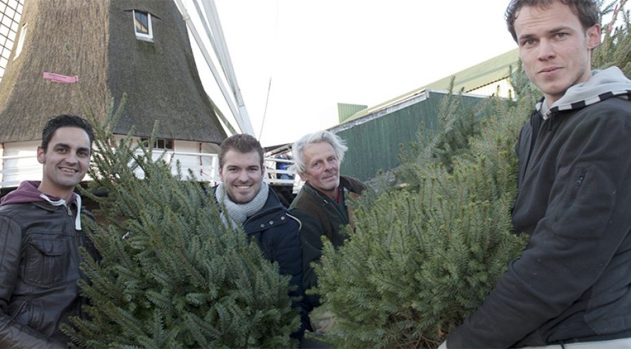 Kerstboomepeveluwepopulariteit1065