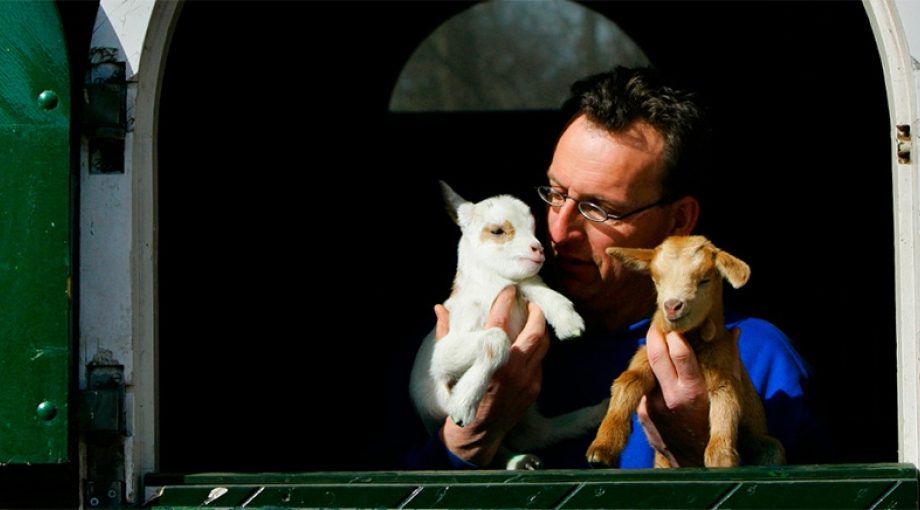 Kinderboerderijinnovatietuinieren