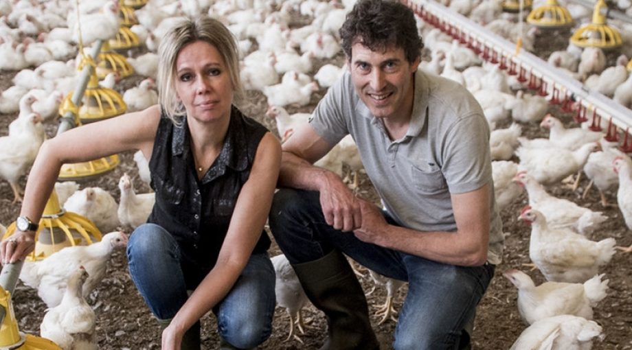 Kip johma twente emiel muijderman