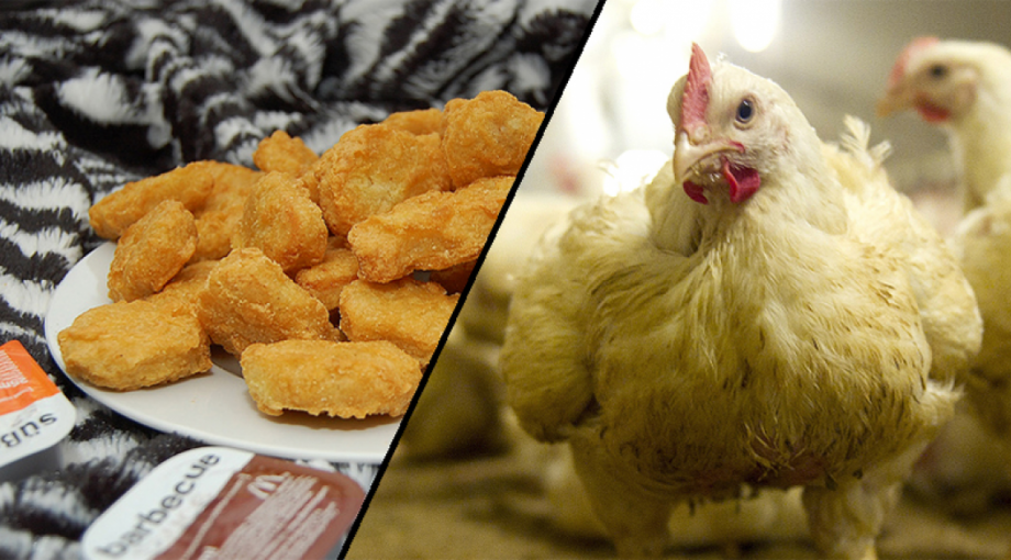 Kipnuggets plofkip mcnuggets