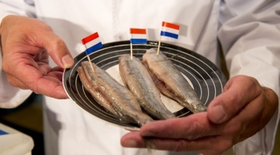 Maatjesharing europese herkenning middelgroot