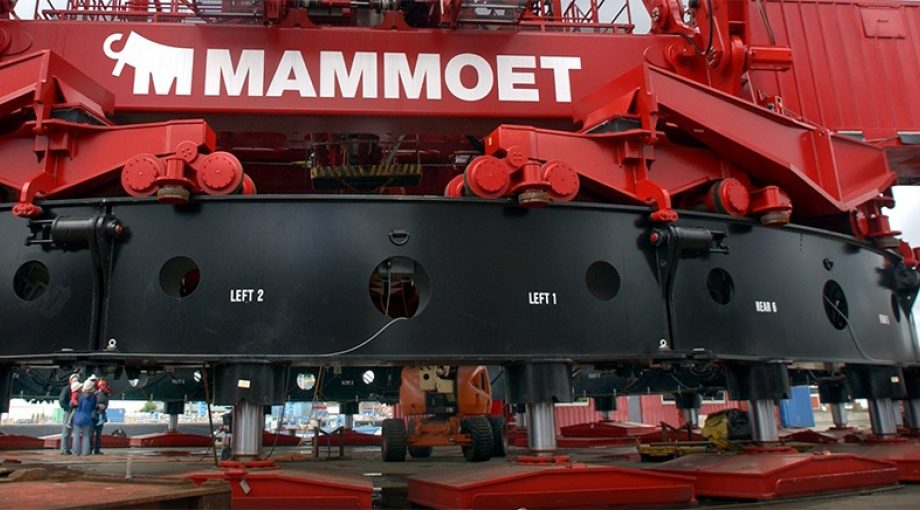 Mammoetscherptrecordaan1065