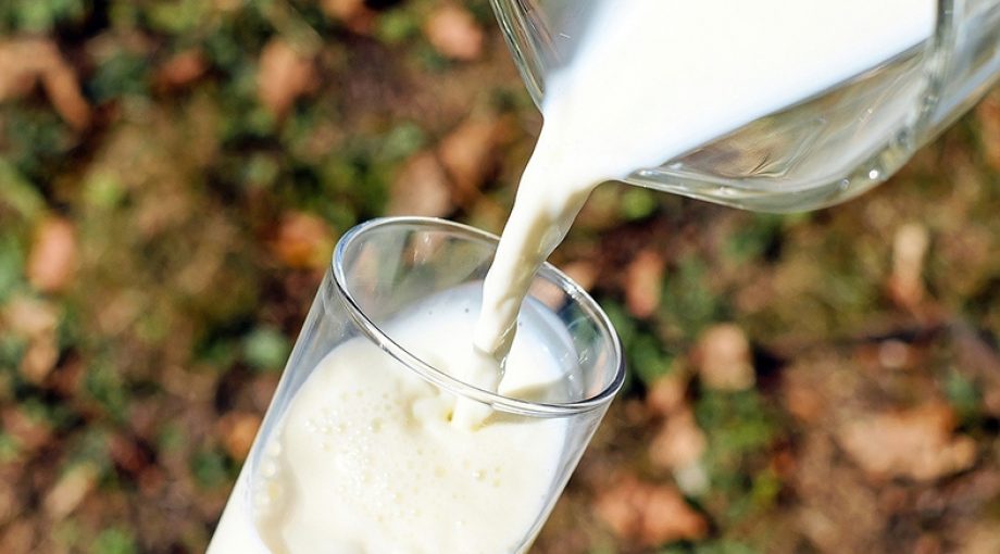 Melk stockpixabay