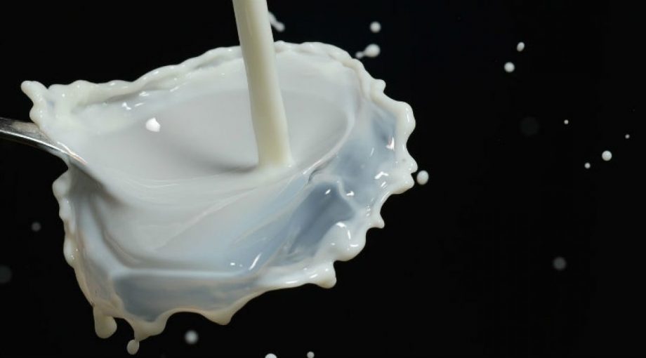 Melk lozen boeren lto landbouworganisatie
