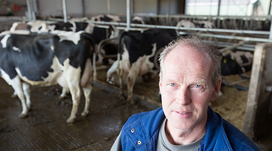 Melkveehouder jacco kastelein meije bodegraven koeien groene hart boer zuivel mestproductie