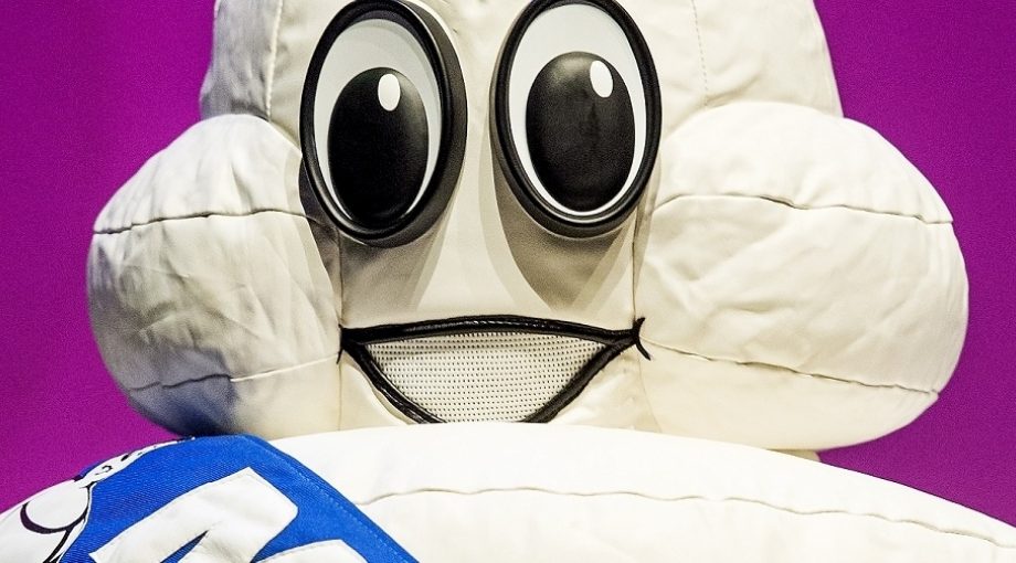 Michelinster 3