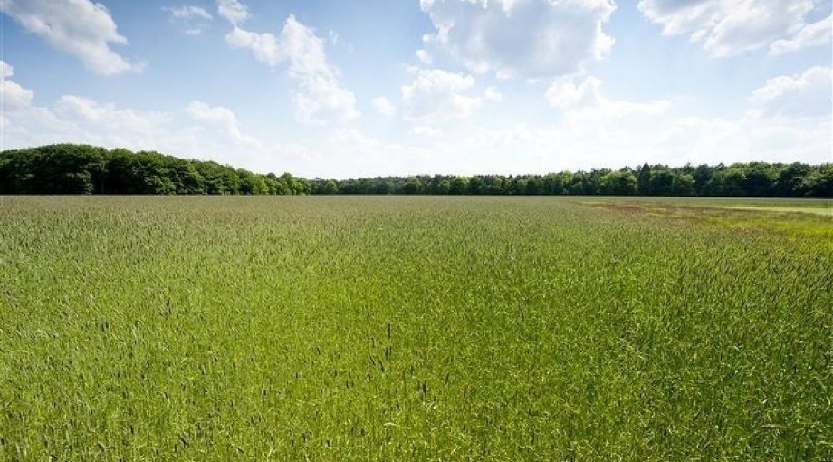 Natura2000 emiel muijderman