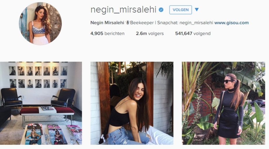 Neginmirsalehi