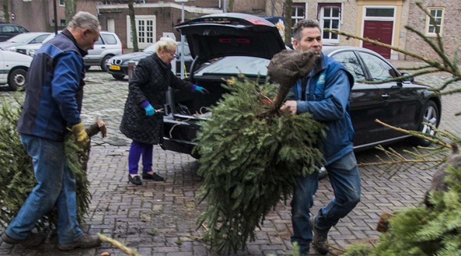 Ondernemerschapkerstbomen1065