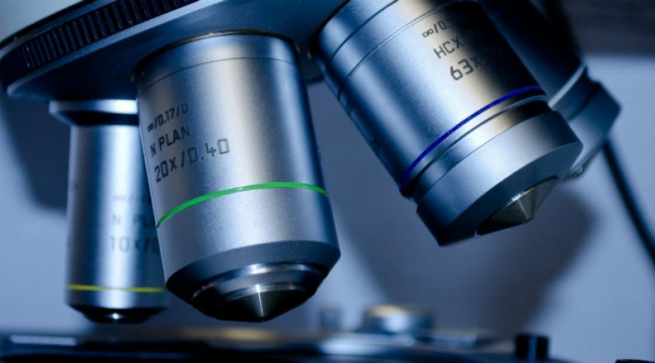 Onderzoek roden health hub samenwerken innovatie noordelijke provincies
